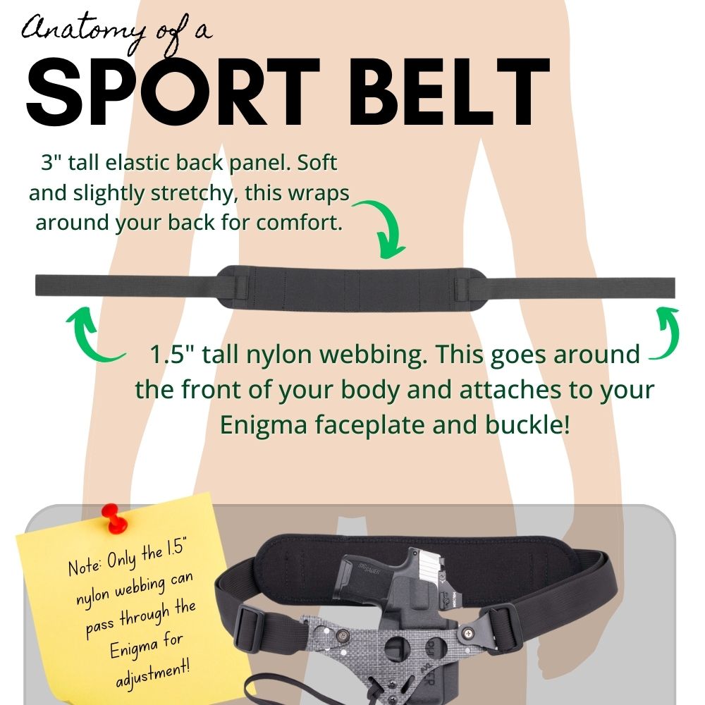 Anatomy of Sport Belt graphic.